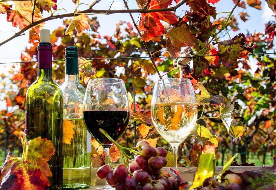 Calaveras Winegrape Alliance景点图片