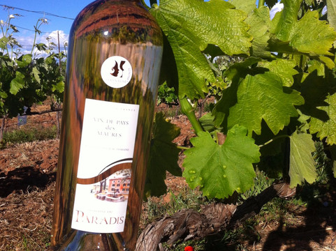 Chateau Paradis-Le Luc必去景点