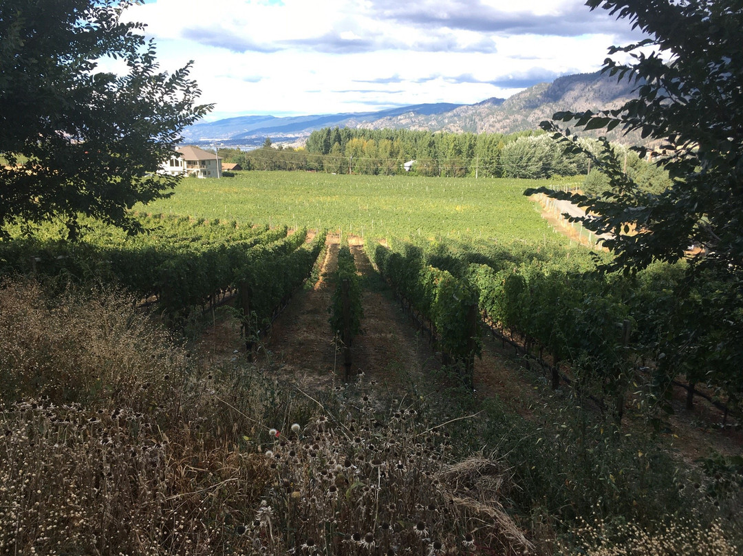 Kraze Legz Vineyard and Winery景点图片