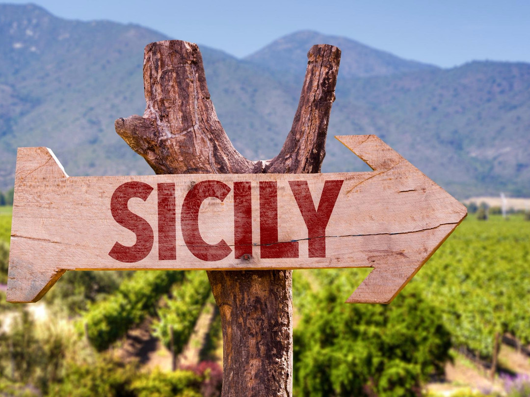 Winery Tasting Sicily