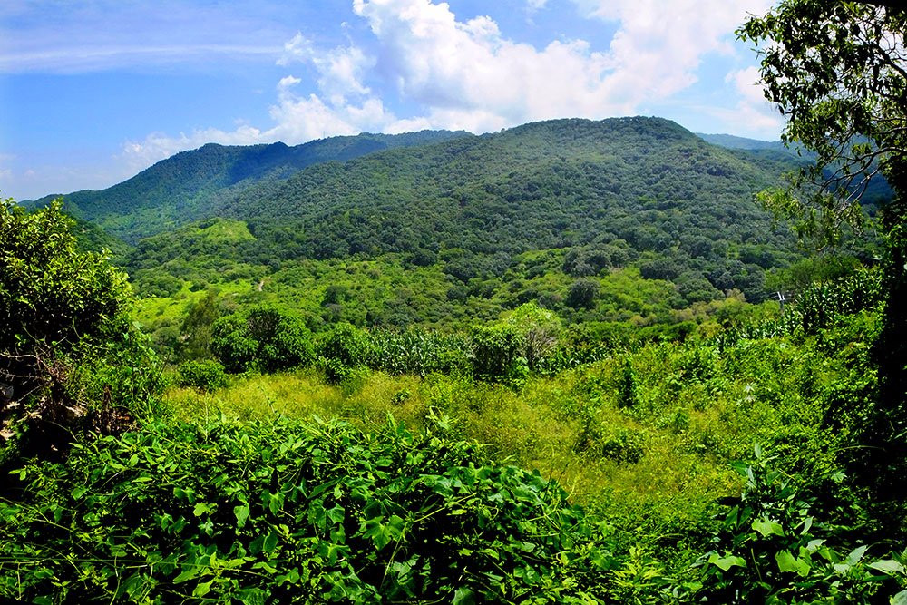 Etzatlan旅游攻略图片