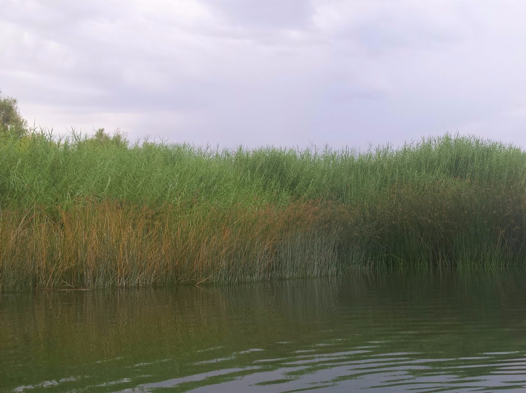 Havasu National Wildlife Refuge-尼德尔斯必去景点