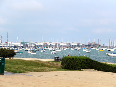 Wheel Fun Rentals-芝加哥必去景点