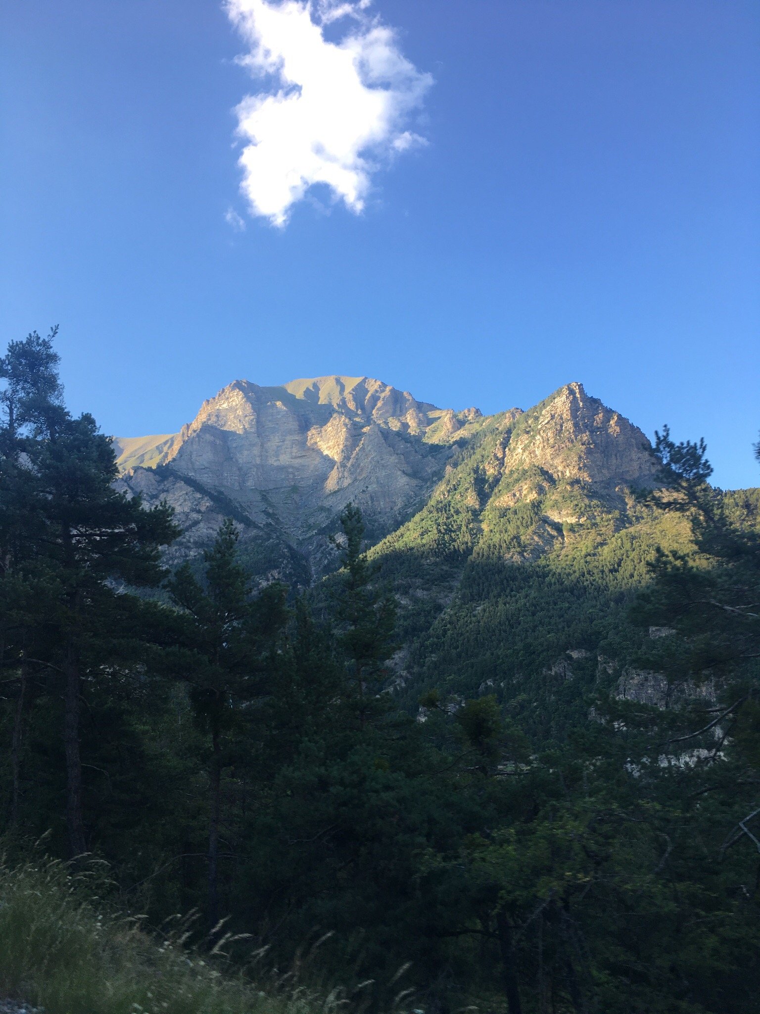 Gite Auberge les Pinées-酒店景观