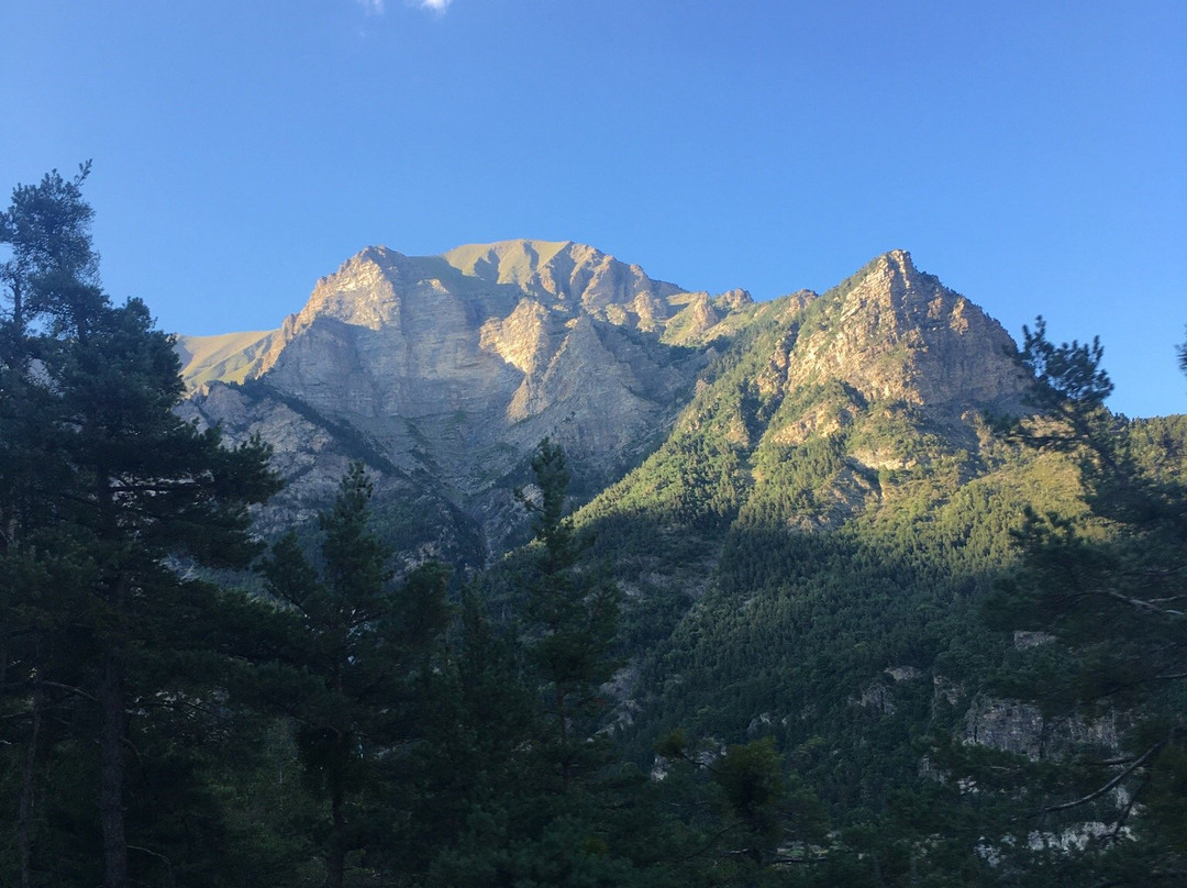 Gite Auberge les Pinées主图