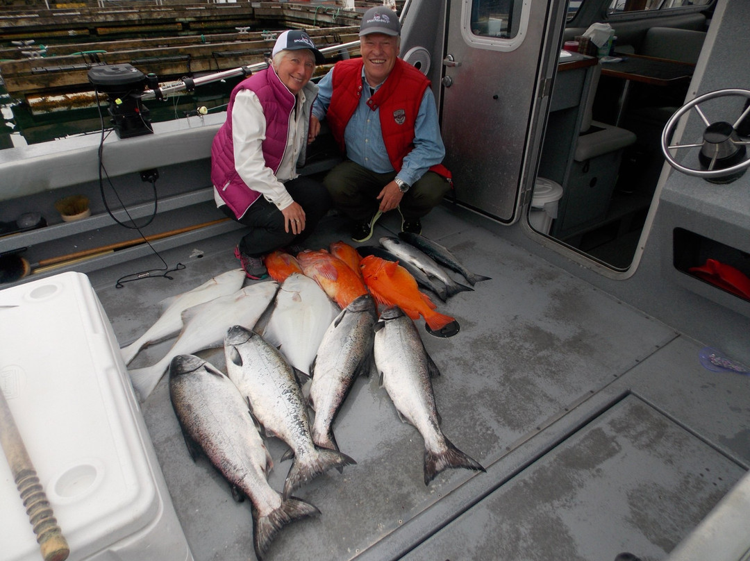 Avid Sportfishing-Sandspit必去景点