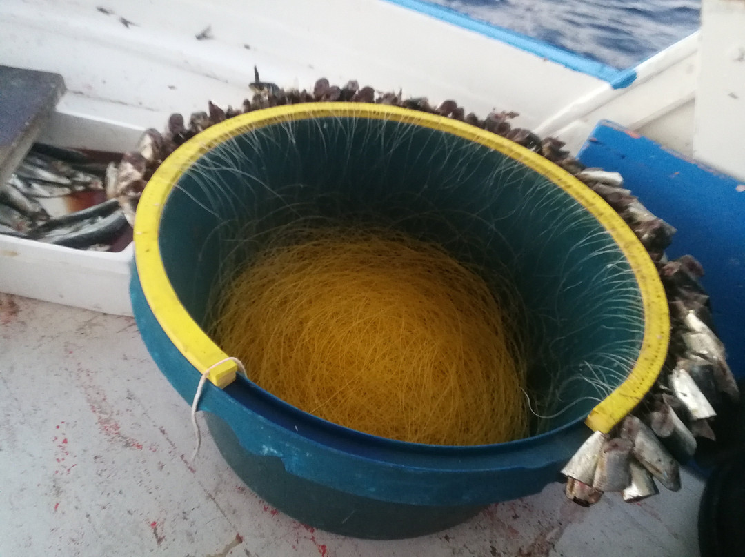 Captain-Giorgis Paros-帕罗斯岛必去景点