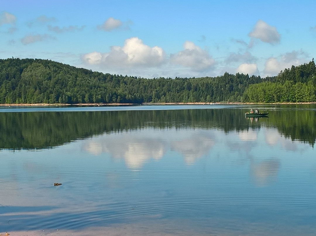 Lac de Pierre-Percée景点图片