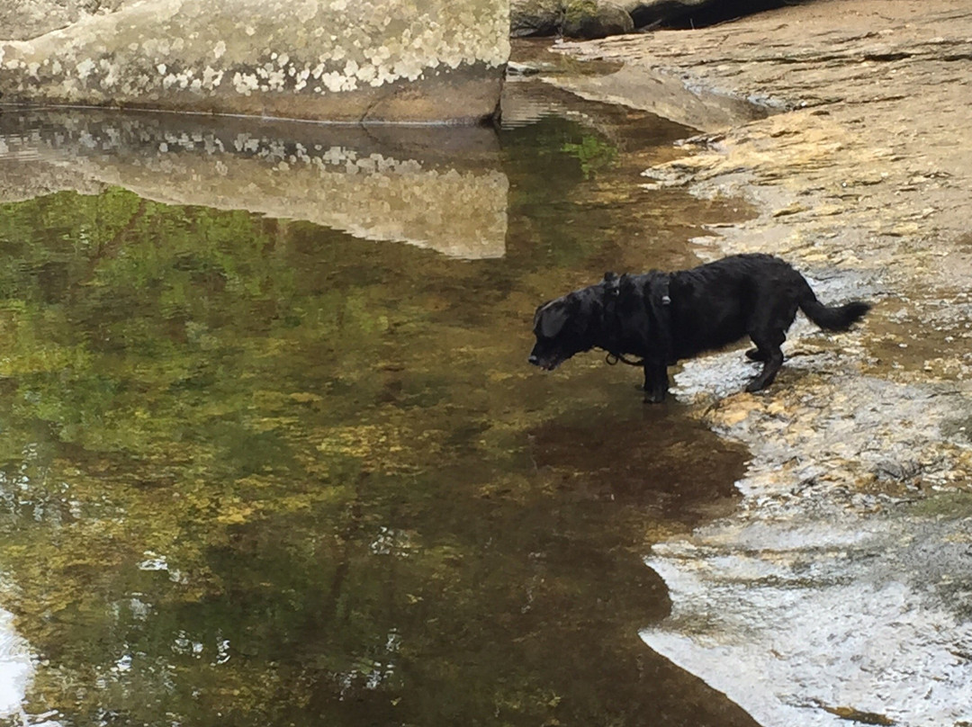 Welton Falls-Alexandria必去景点