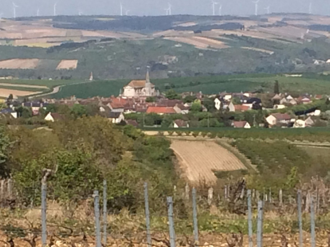 Domaine du Clos du Roi景点图片