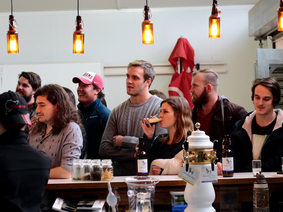 Zebonkey-斯泰伦博斯必去景点