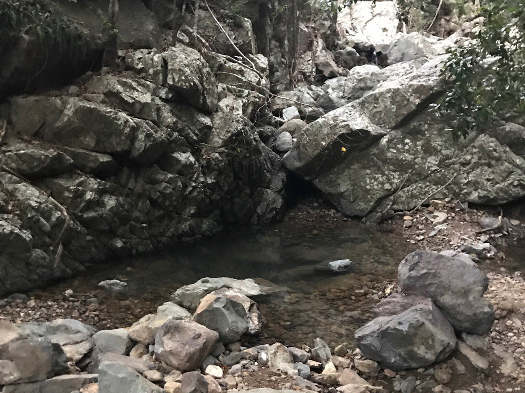 Airlie Creek Track-艾尔利滩必去景点