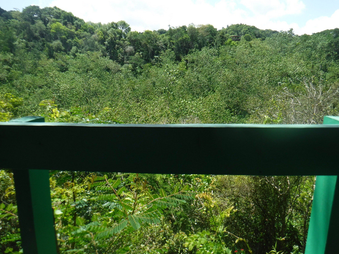 Guajataca Forest Reserve-Isabela必去景点