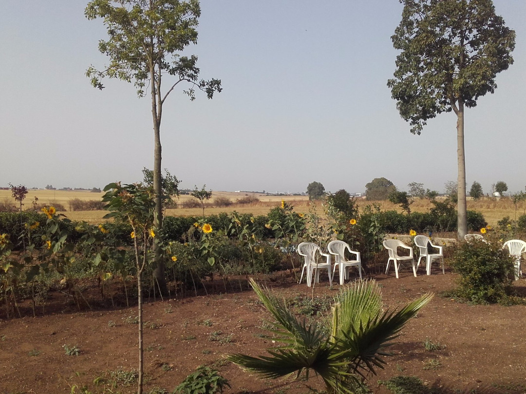 La Petite Ferme主图