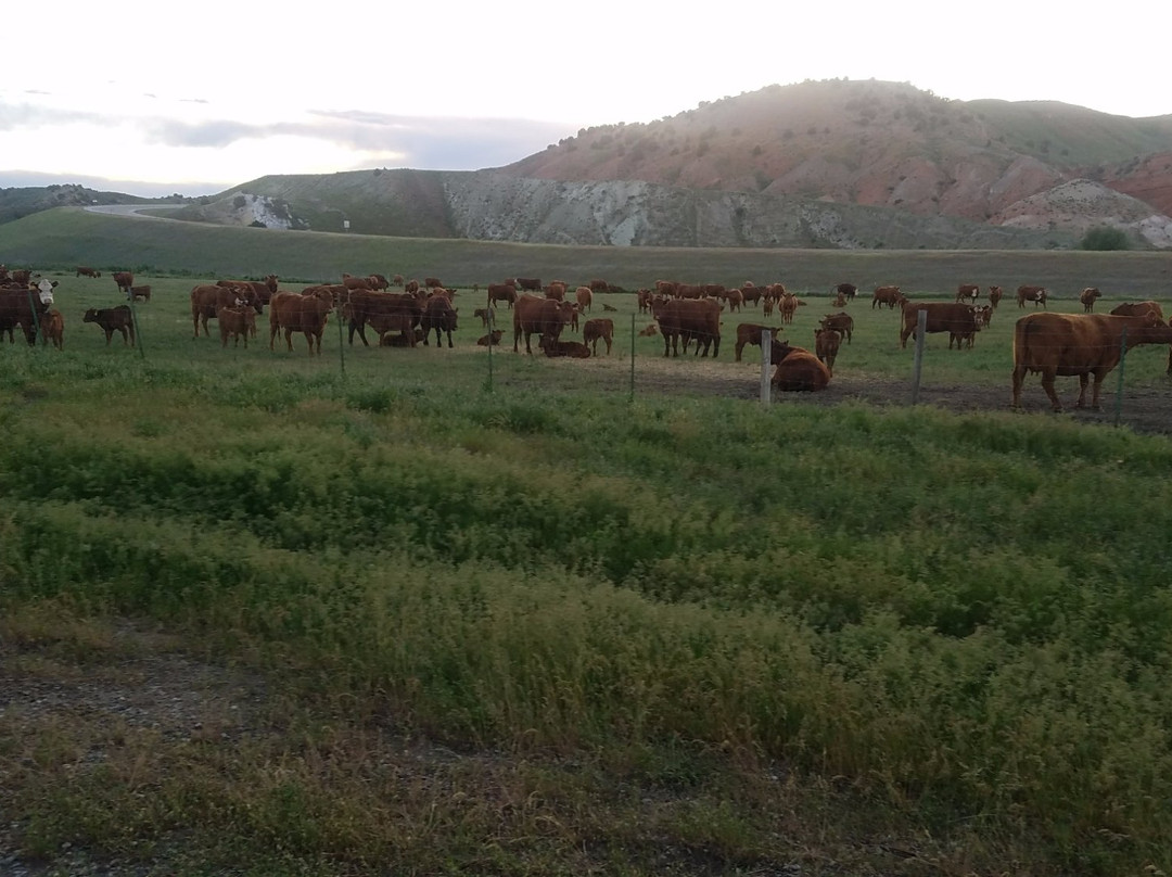 Ten Sleep Brewing Co.-Ten Sleep必去景点