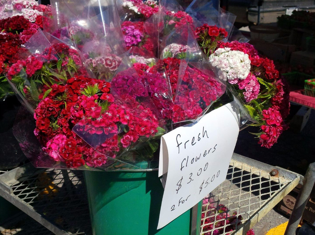 Bucket List Travel Adventures-Elmira必去景点