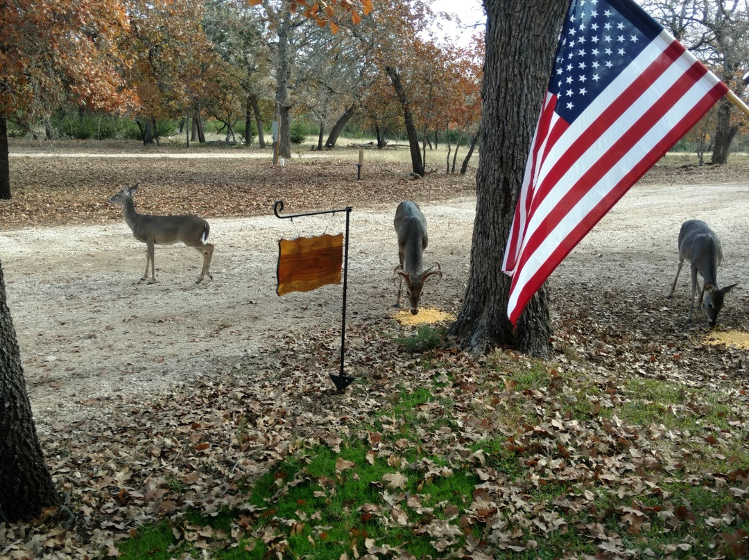 DD Texass Ranch and RV