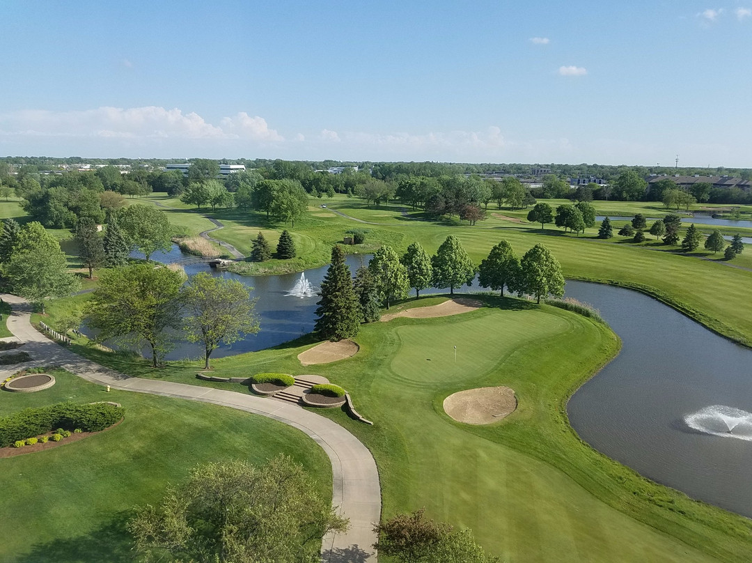 null-奥克布鲁克