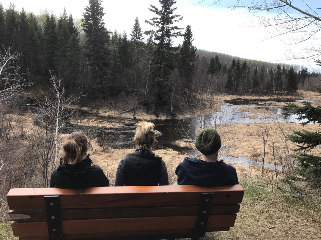 Prince Albert National Park Nature Centre景点图片