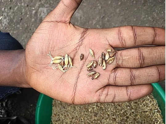 Lalibela Brew Tour-拉利贝拉必去景点