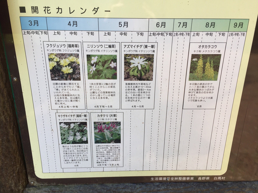 Himegawa Headwaters Natural Garden景点图片