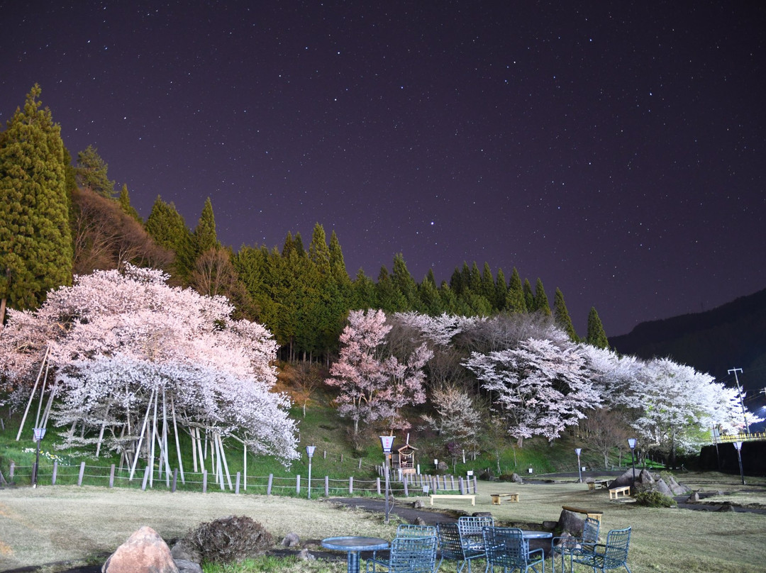 Garyu Park (Garyu Sakura)-高山市必去景点