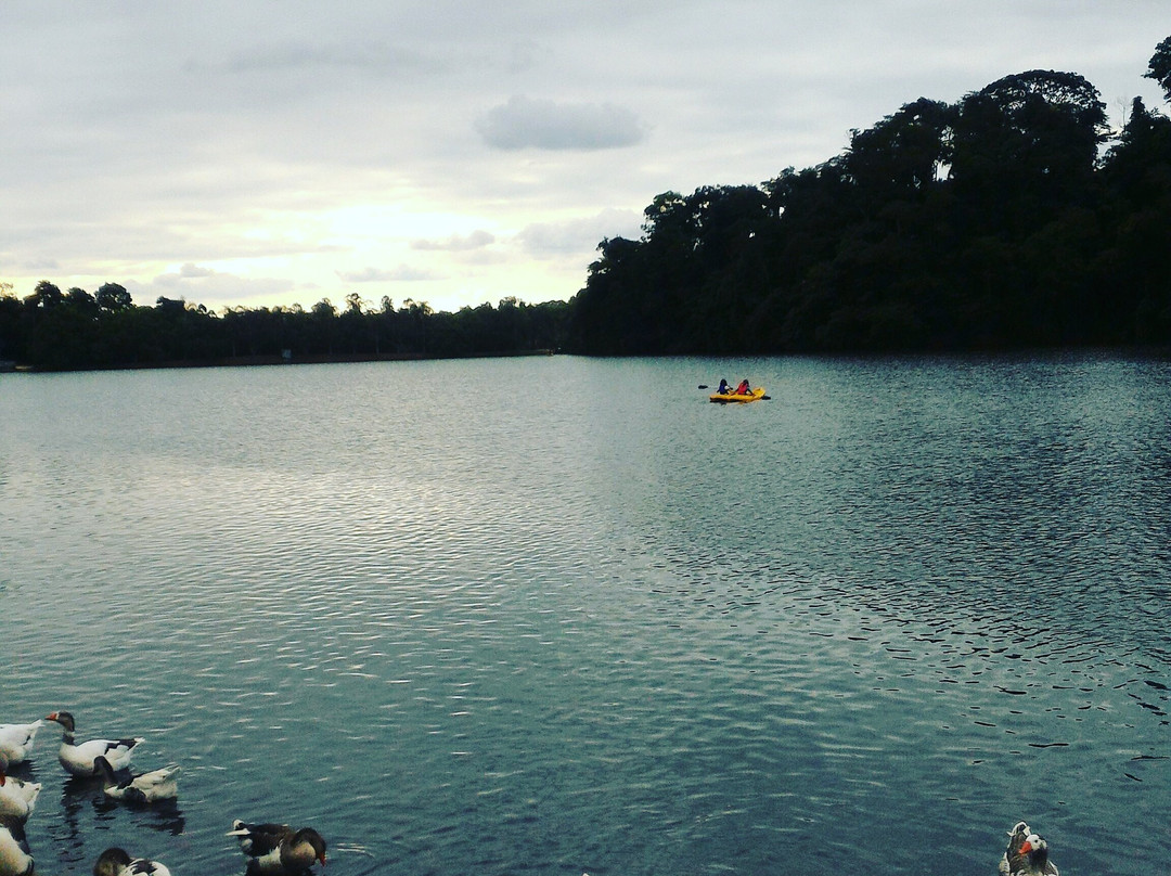 Represa João Gasparini-维涅杜必去景点