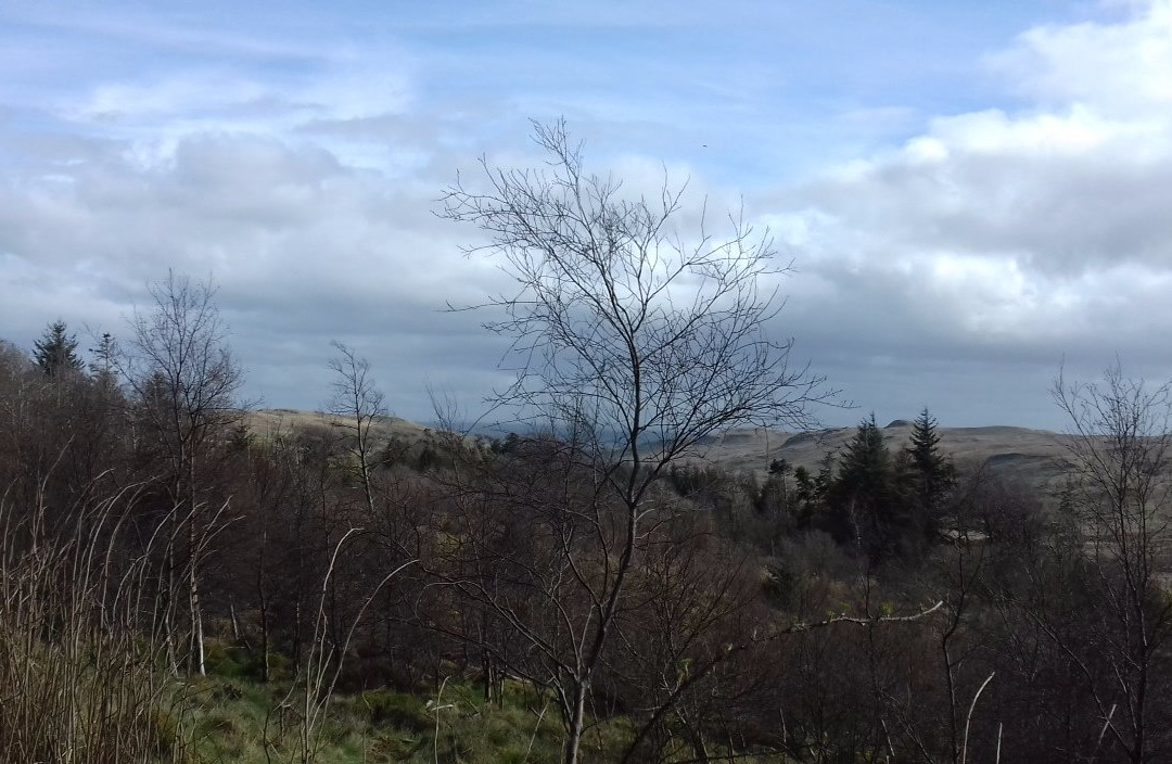 Muirshiel Visitor Centre & Country Park景点图片