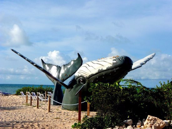 Feel the Breeze Bike Rentals-Grand Turk必去景点