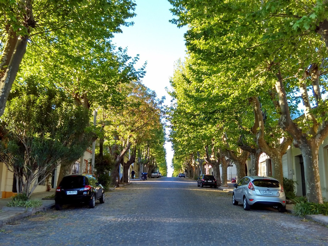 Avenida General Flores景点图片