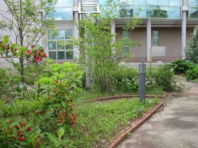 Fukuoka University Herb Garden-福冈市必去景点
