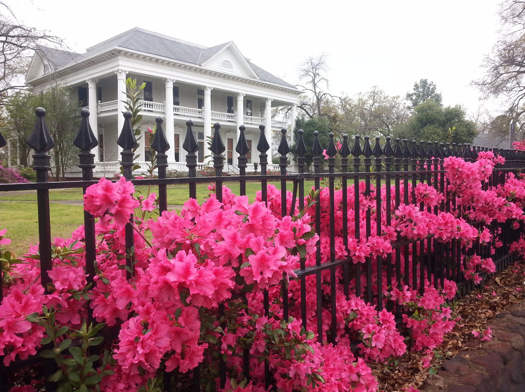 Azalea Residential Historic District-泰勒必去景点