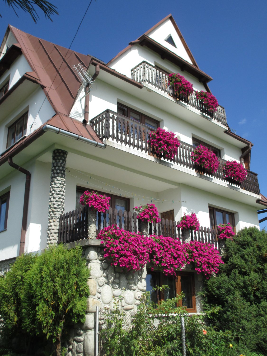 Sarenka Guest Rooms-官方