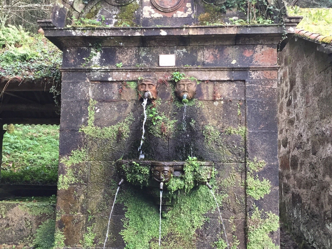 Pazo de Lourizan景点图片