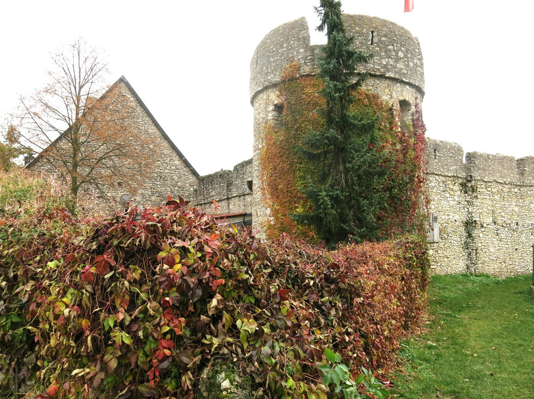 Floersheim-Dalsheim旅游攻略图片