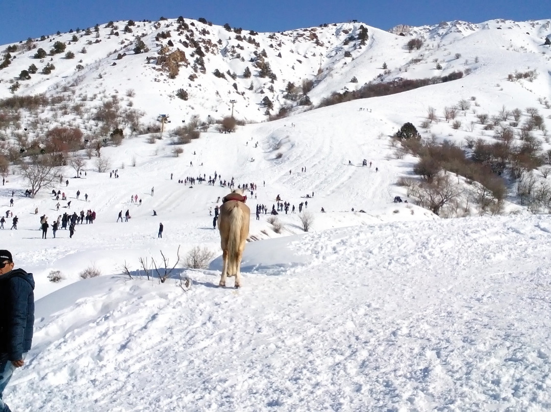 Chimgan Ski Resort-Chimgan必去景点