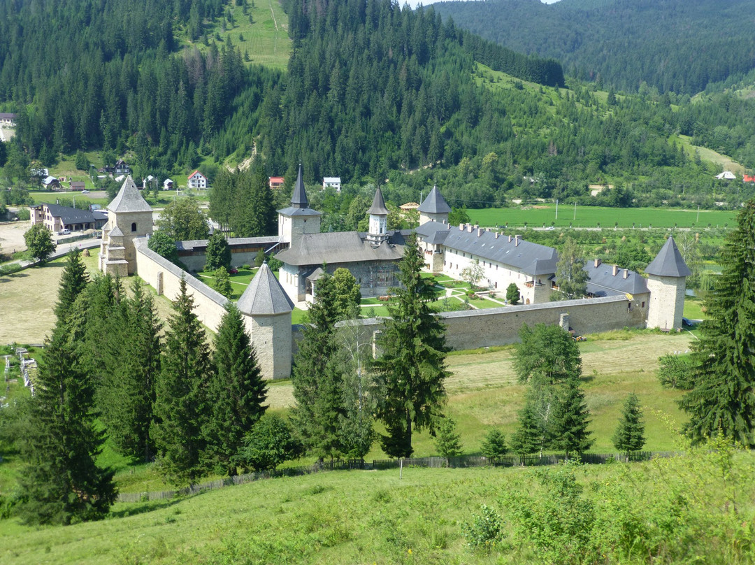 null-Suceava