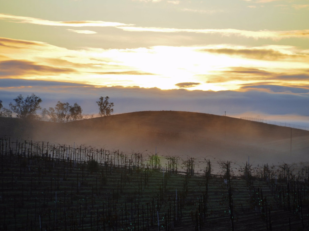 Vino Vargas Winery-San Miguel必去景点