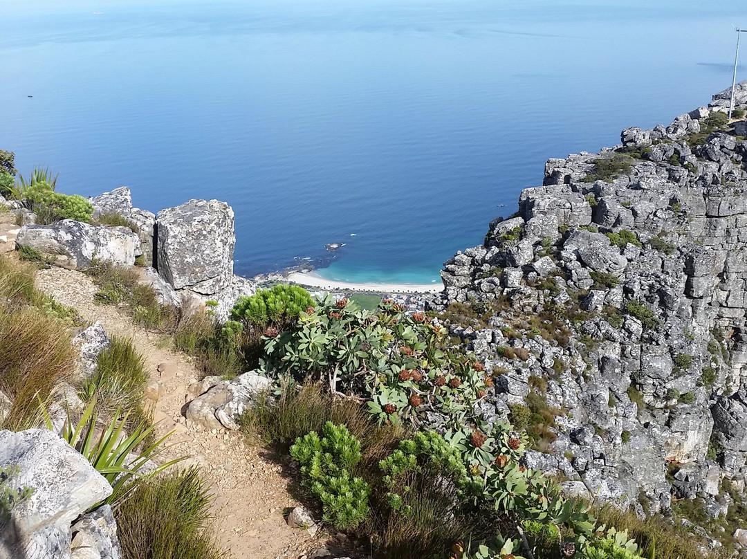 Hike Addicts-开普敦中心区必去景点