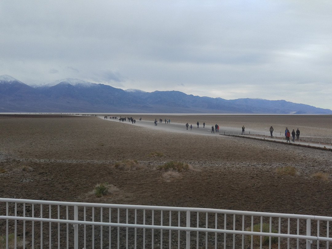 Ibex Dunes-Baker必去景点