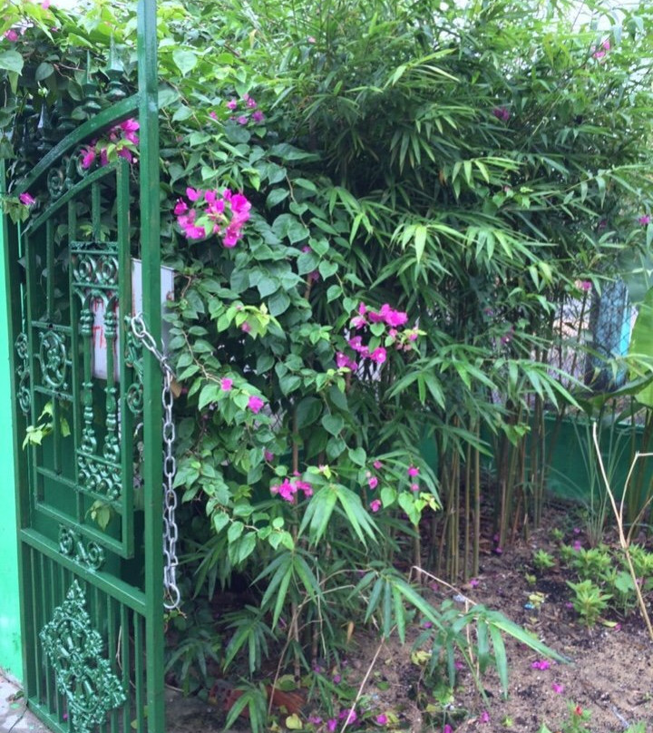 Pansee Spa-会安必去景点