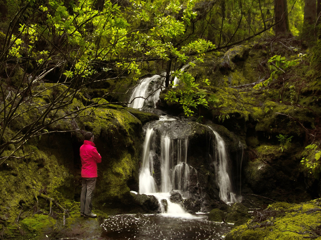 Azores Expeditions-Terceira必去景点