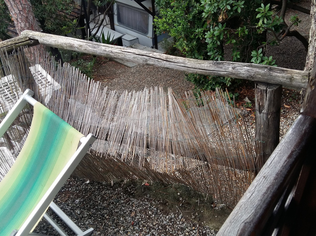 Camping Pineta主图