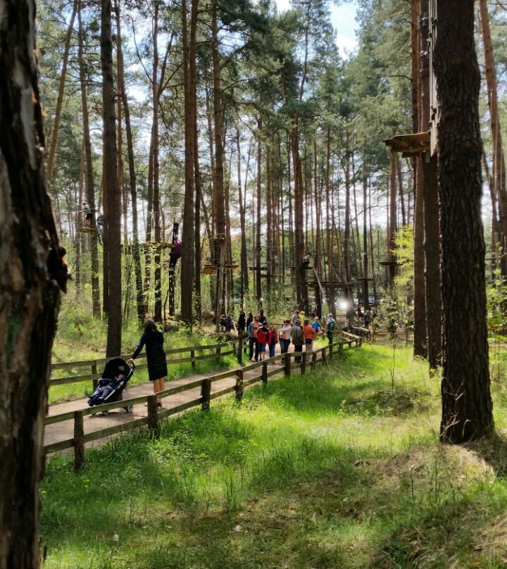 Kletterwald Schorfheide-Schorfheide必去景点
