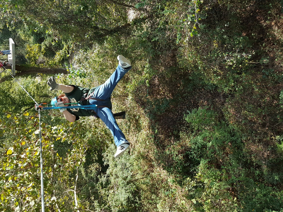 Zipline USA-Reeds Spring必去景点