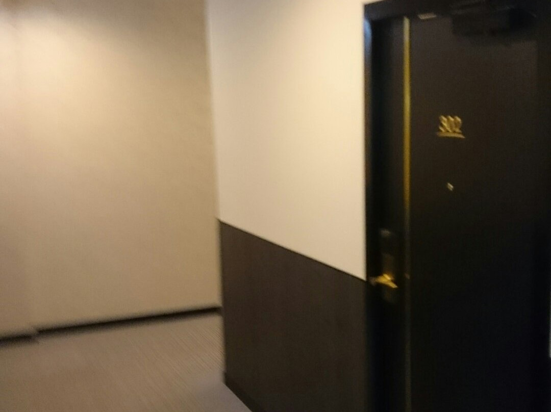 Hotel New Gaea Yanagawa主图