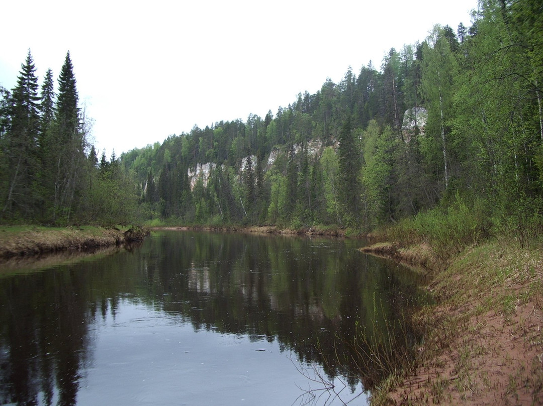 Pinezhsky Nature Reserve景点图片
