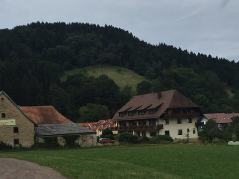 Oberried酒店住宿-Gasthaus - Hotel Zum Hirschen