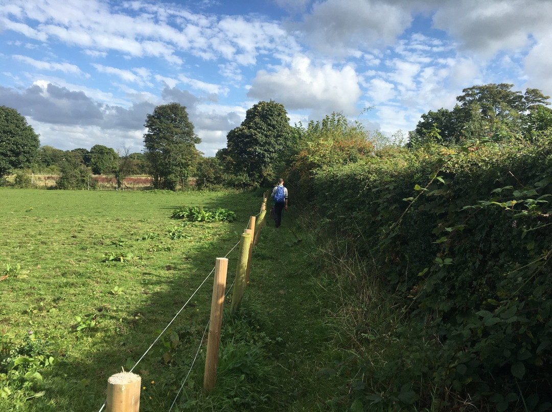 Mawdesley Jubilee Trail景点图片