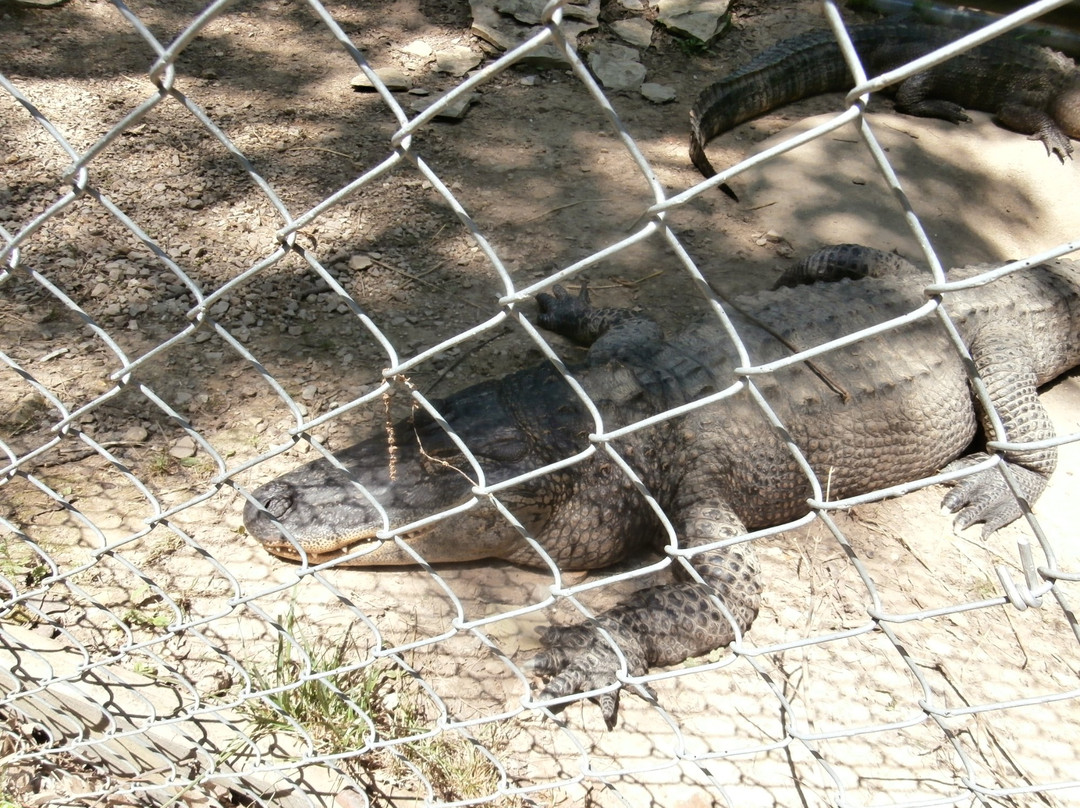 Riverside Wildlife Center-斯坦顿必去景点